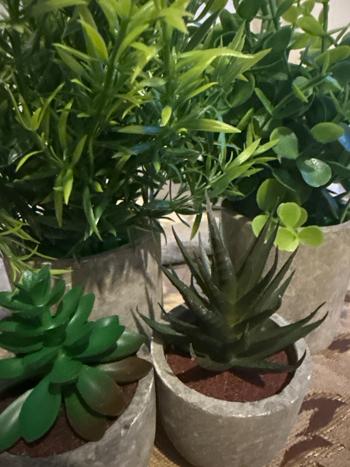 Fake Plants Set of 4 Paper Pulp Pots – Artificial Indoor Home Decor | Realistic Eucalyptus Rosemary & Succulent Faux Plant in Paper Pulp Pots. Maintenance-free Décor for Home Office & Shelves