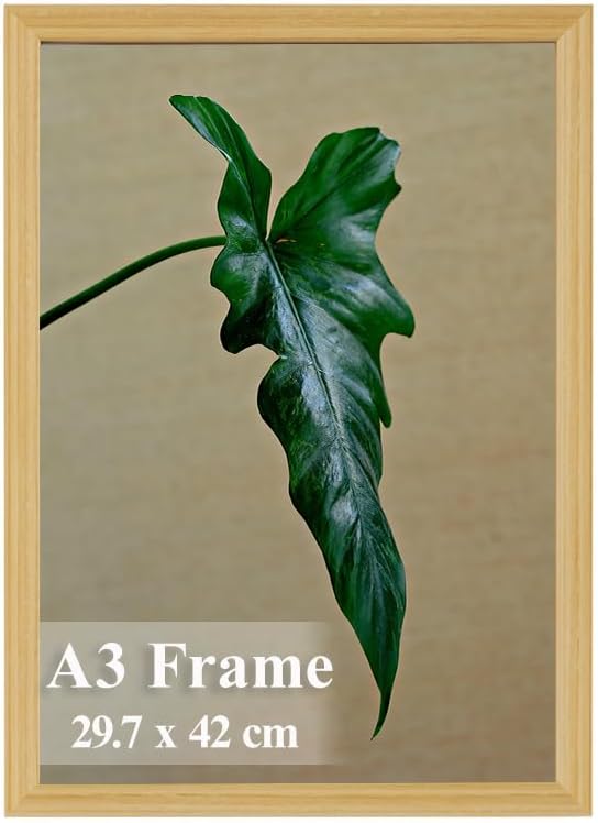 A3 Picture Frame, Wooden Poster Frame, 29.7x42cm Photo Frames for Display Family Pictures Wall Gallery Photo Frames Wall Mounting Horizontally or Vertically (Oak)
