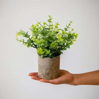 Fake Plants Set of 4 Paper Pulp Pots – Artificial Indoor Home Decor | Realistic Eucalyptus Rosemary & Succulent Faux Plant in Paper Pulp Pots. Maintenance-free Décor for Home Office & Shelves
