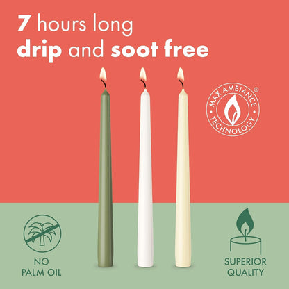 Bolsius Tapered Candles - Metallic Blue - 4-Pack - 24.5 cm - Decorative Household Candles - Burning Time of 7 Hours - Unscented - Includes Natural Vegan Wax - Without Palm Oil