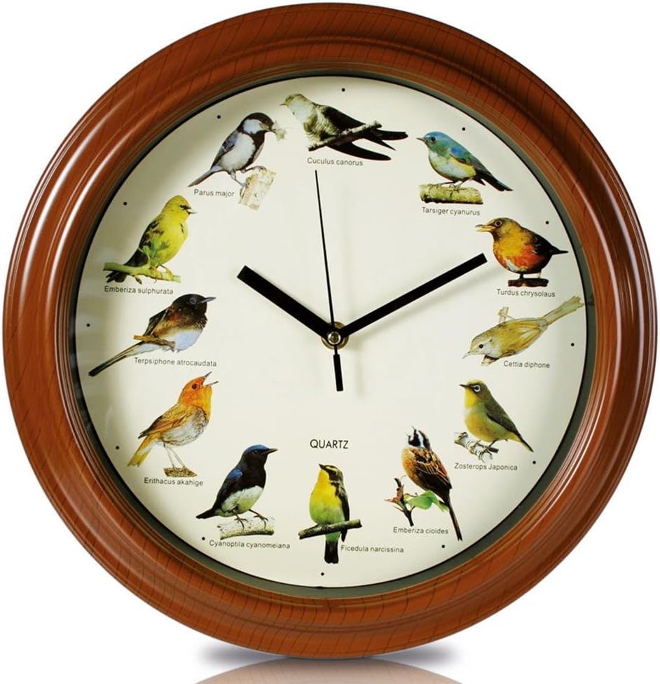 Out of the Blue Plastic Wall Clock with Birds Design, Multicolour, l x 32 cm w