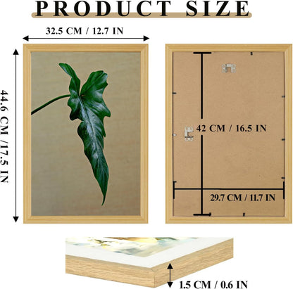 A3 Picture Frame, Wooden Poster Frame, 29.7x42cm Photo Frames for Display Family Pictures Wall Gallery Photo Frames Wall Mounting Horizontally or Vertically (Oak)