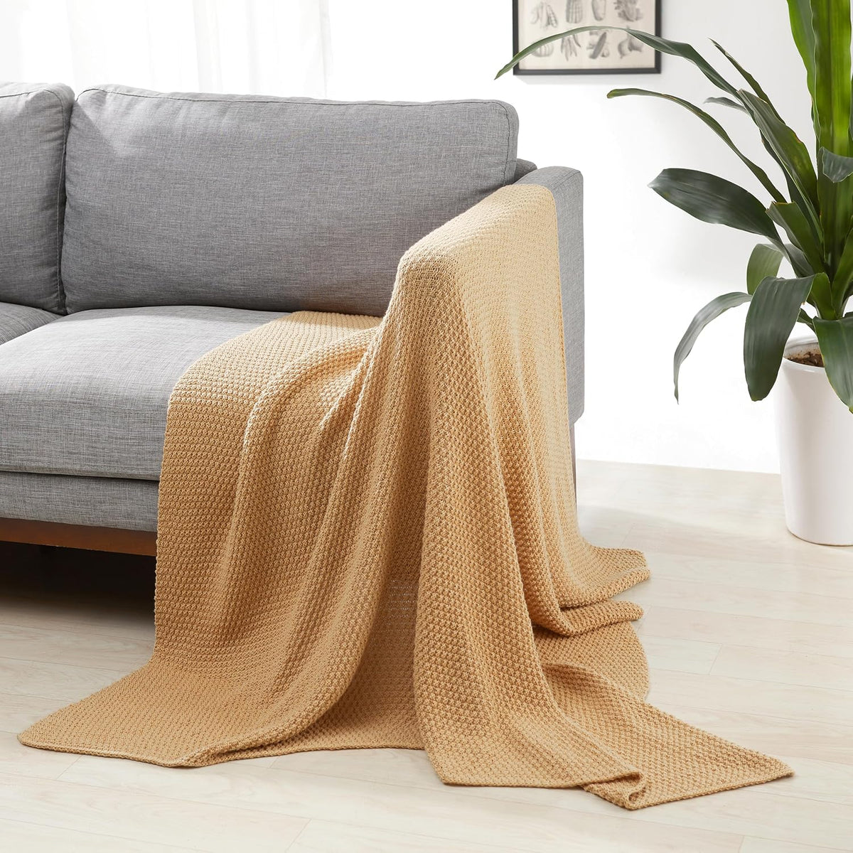 Amazon Basics Knitted Sofa Throw Blanket, Soft Bed Throw for Room Décor, 127 x 152 cm, Sand